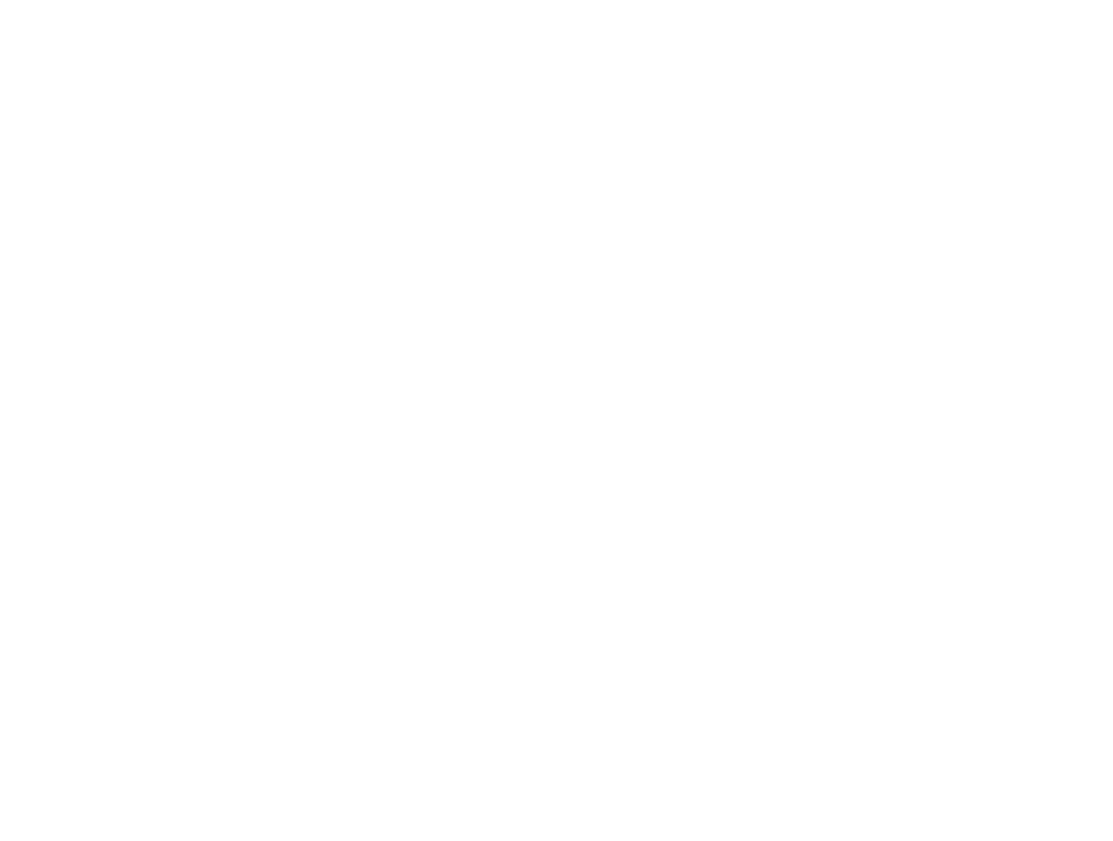 Framtidens Ledare Logo